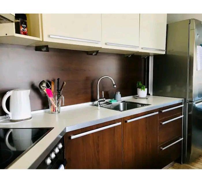 Apartment Sakvice 390 エクステリア 写真