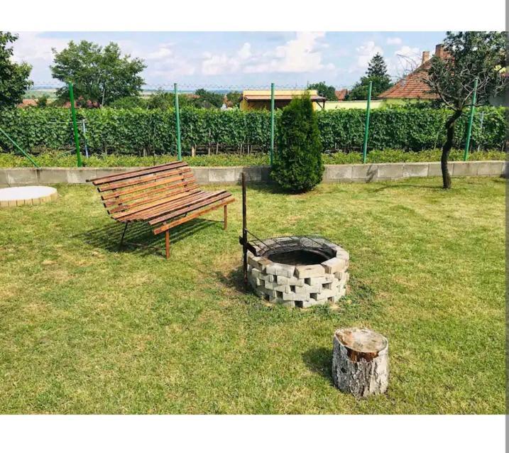 Apartment Sakvice 390 エクステリア 写真
